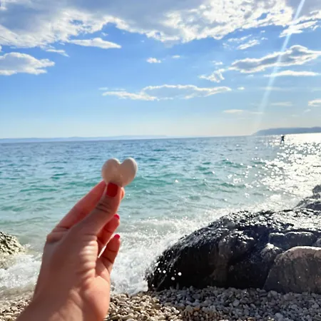 Seaview Oscar Макарська