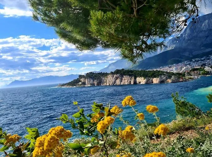 Apartment Seaview Oscar